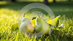 Two ripe pears on green grass in summer garden. Selective focus. Generative AI