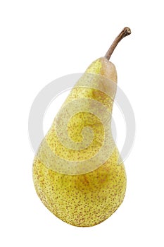 Two ripe pears on white background