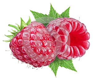 Two ripe raspberry fluits.