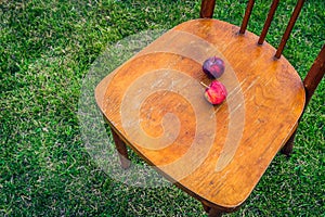 Two Ripe Red Apples on the Seat of an Old Wooden Chair on the Green Lawn