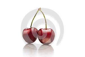 Two ripe red shiny cherries with connected stems