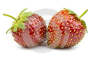 Two ripe strawberries close-up isolated on a white background