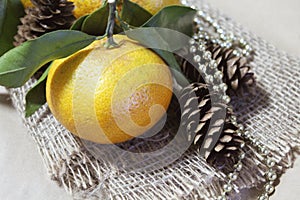 Two ripe tangerines whit green leaves in one bunch, several fir cones and a gold Christmas tree garlsnd  on burlap.. photo