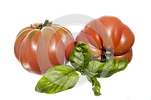 Two ripe tomatoes