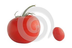 Two ripe tomatoes on white background