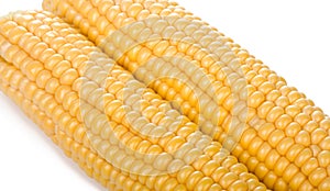 Two ripe yellow corn cob