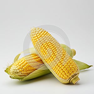 Two Ripe Yellow Ears of Corn on White Background