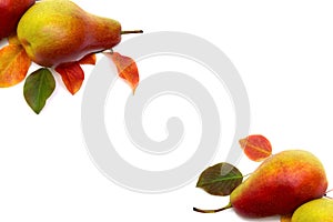 Two ripe yellow-red juicy pears and leaves pear tree on white background. Top view, flat lay