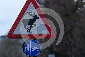 Two road signs - Warning animals and separate lanes for pedestrians and cyclists