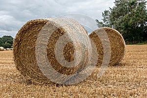 Two rolled up hay bales