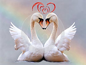 Two romantic swans rainbow background