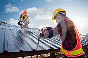 Two Roofer worker safety wear using air or pneumatic nail gun and installing on new roof metal sheet, Roof concept of residential