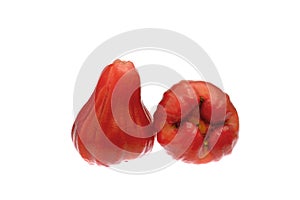 Two rose apple isolated on the white background,Thai fruit
