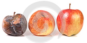 Two rotten and one good apple isolated on white background