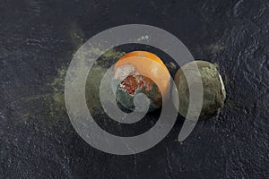 Two rotten oranges on a dark background. Incorrect storage. Decomposition process. Copy space photo