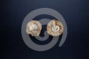 Two rotten white champignon mushrooms seen upside-down from above on a dark background