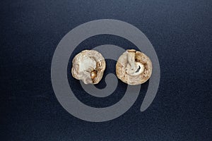 Two rotten white champignon mushrooms seen upside-down from above on a dark background photo