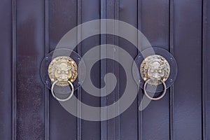 Two brown bronze door handles with a lion head on a metal door