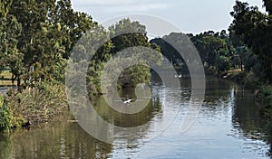 Two Rowers on the Yarkon River in Tel Aviv Israel