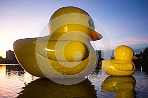 Two rubber ducks in Nong Prajak, Udon Thani,Thailand in evening