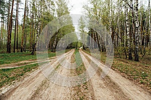 Two rural dirt road