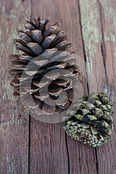 Two Rustic Pinecones on a Old Barn Board Floor Close Up