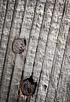 Two rusty nails in wood