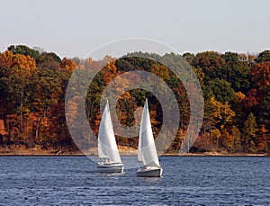 Two SailBoats