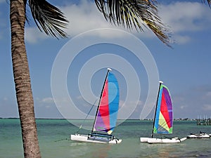 Two sailboats on the water