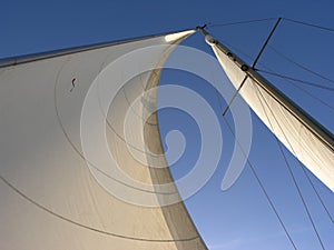 Two sails: genoa and Mainsail photo