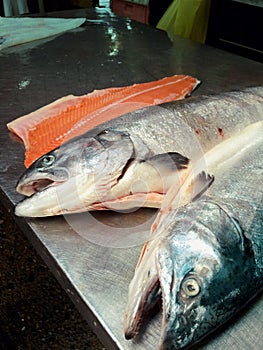 two salmon in the Chile market photo