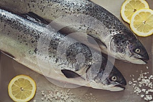 Two salmons on metallic photo