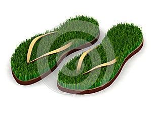 Two sandals with green grass