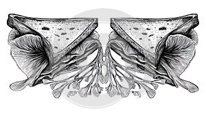 Monochrome Sandwich Drawing Detailed Hand-Drawn Food Art