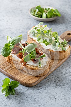 Sandwich on toast with fresh radish microgreen and cream cheese on grey background. Close up photo