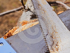 Two saws hacksaws lie across. Garden tool