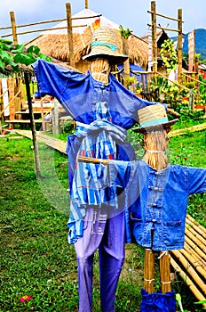 Two scarecrows in the rice field.