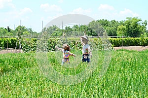 Two scarecrows or strawmans in green rice paddy field