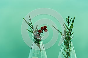 Two science glass flask with organic green plant and red fruit for cosmetic biotechnology research on white fabric and blue sky