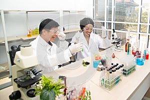 Two scientists are working in laboratory. Young female researcher and her senior supervisor are doing investigations on laboratory