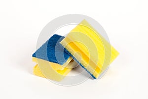 Two scouring sponges