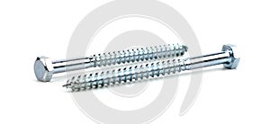 Two screws on white background