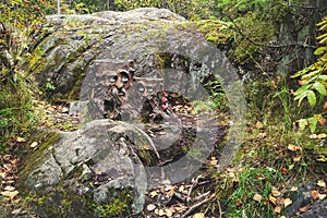 Two sculptures of goblins are made of tree stumps