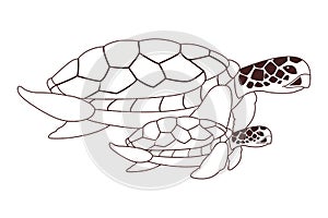 Two sea turtle icon cartoon in black and white