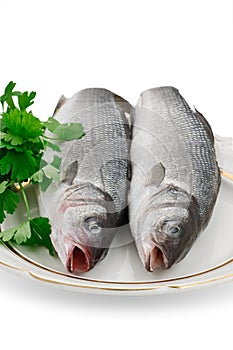 Two Seabass Fish On A Plate
