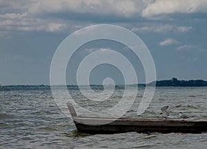 Two seagulls at a lake - on the water, sitting in a boat, and standing on the boat