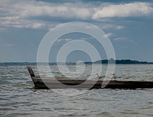 Two seagulls at a lake - on the water, sitting in a boat, and standing on the boat