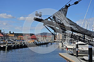 Two seagulls sitting on a sailboat mast in Hobart Tasmania Australia