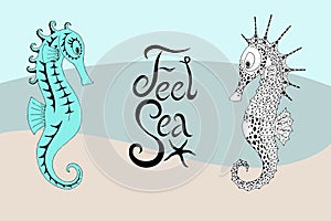 Two seahorses and the calligraphic inscription with feel