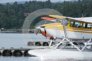 Two seaplanes